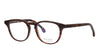 #colour_dark-tortoise-1
