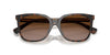 Ralph by Ralph Lauren RA5343U #colour_dark havana on crystal/brown gradient