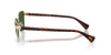 Ralph by Ralph Lauren RA4149 #colour_shiny pale gold/dark green