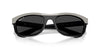 Ray-Ban Balorama RB2489 #colour_grey on black/black polarised