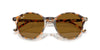 Ray-Ban Bernard RB2230#colour_havana-grey-and-brown-brown