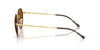 Ray-Ban Jack RB3565#colour_matte-havana-on-matte-arista-gold-brown