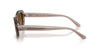 Ray-Ban RB2221#colour_beige-crystal-brown-gradient-polarised
