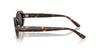 Ray-Ban RB2223 #colour_havana/dark grey
