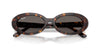 Ray-Ban RB2223 #colour_havana/dark grey
