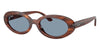 Ray-Ban RB2223 #colour_striped havana/blue