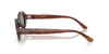 Ray-Ban RB2223 #colour_striped havana/blue