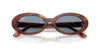 Ray-Ban RB2223 #colour_striped havana/blue