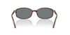 Ray-Ban RB2232#colour_striped-havana-blue