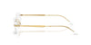 Ray-Ban RB3767V#colour_arista-gold