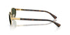 Ray-Ban RB3777#colour_arista-gold-green