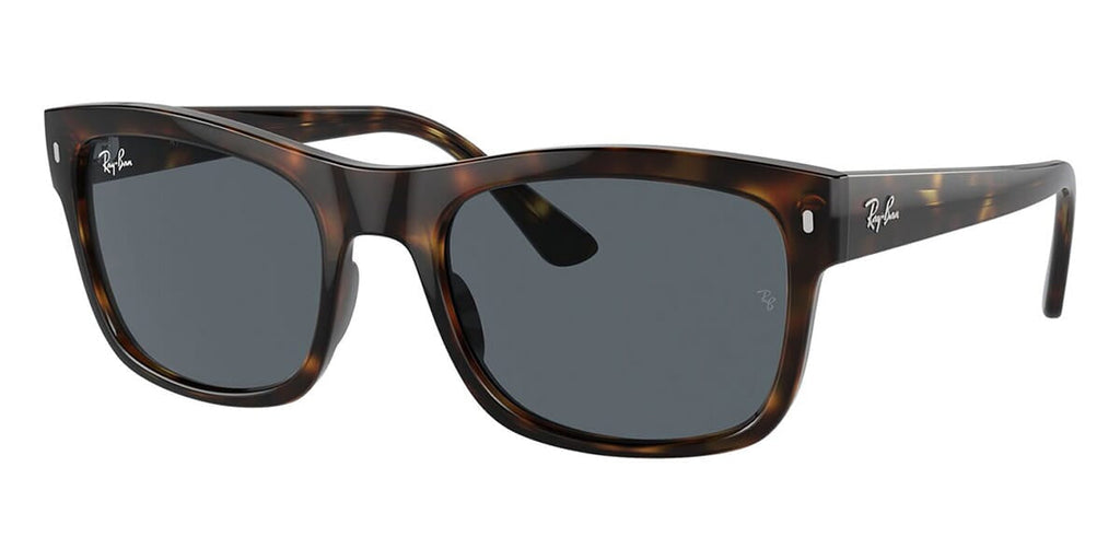 Ray-Ban RB4428 #colour_havana/blue