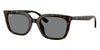 Ray-Ban RB4439D#colour_havana-dark-grey