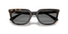 Ray-Ban RB4439D#colour_havana-dark-grey