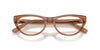 Ray-Ban RB5449D #colour_brown crystal