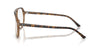 Ray-Ban RB5698 #colour_havana on crystal brown
