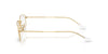 Ray-Ban RB6647#colour_arista-gold