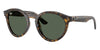 Ray-Ban RBR0505S #colour_havana/dark green