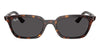 Ray-Ban Zaya RB4456#colour_havana-dark-grey