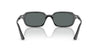 Ray-Ban Zuri RB4455#colour_black-dark-grey-polarised