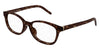 Saint Laurent SL M141-F#colour_havana