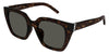 Saint Laurent SL M143#colour_havana