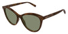 SaintLaurentSL456#colour_havana-green