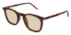 Saint Laurent SL 623#colour_shiny-dark-havana-light-brown