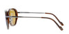 Serengeti Boron Brown/Blue Polarised #colour_brown-blue-polarised