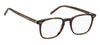 Tommy Hilfiger TH1814 Dark Tortoise #colour_dark-tortoise
