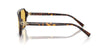 Tiffany TF4264U #colour_havana/yellow