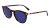 Calvin Kelin CK22533S #colour_brown-havana-blue