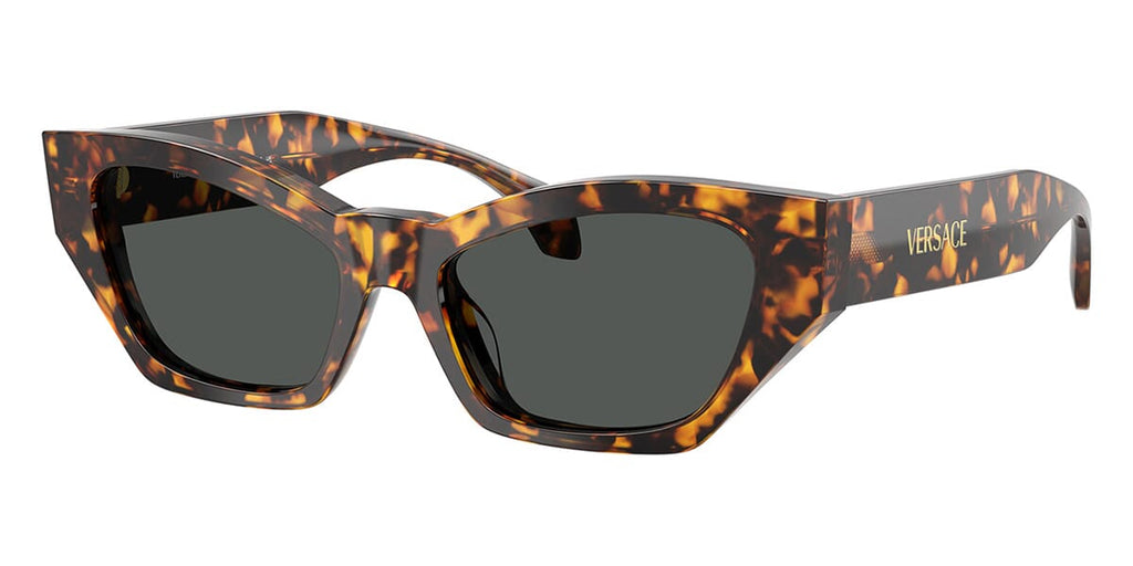 Versace VE4488U #colour_havana tortoise/dark grey