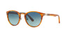 Persol Typewriter Edition PO3108S Brown/Blue #colour_brown-blue