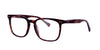 Jumbo Shrimp Eagle with Clip-on Dark-Tortoise #colour_dark-tortoise