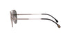 Paul Smith ANGUS SUN Silver/Grey Polarised #colour_silver-grey-polarised
