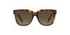 Marc Jacobs Marc 580/S Havana/Brown Gradient #colour_havana-brown-gradient