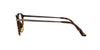 Giorgio Armani AR8159U Havana/Clear #colour_havana-clear