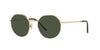 Dolce&Gabbana DG2286 Gold/Polarised Green #colour_gold-polarised-green
