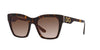 Dolce&Gabbana DG4384 Havana On White Barrow/Brown Gradient #colour_havana-on-white-barrow-brown-gradient