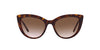 Dolce&Gabbana DG4408 Havana/Gradient Brown #colour_havana-gradient-brown