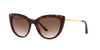 Dolce&Gabbana DG4408 Havana/Gradient Brown #colour_havana-gradient-brown