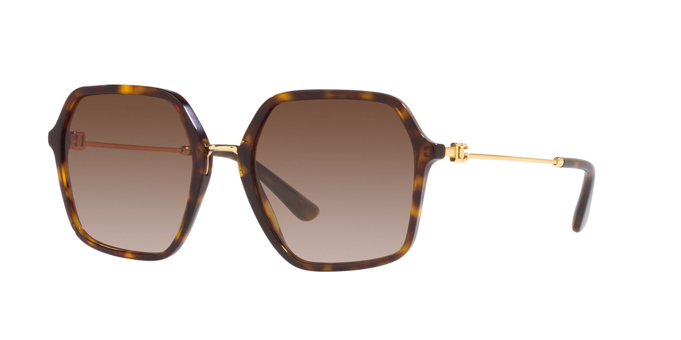 Dolce&Gabbana DG4422 Havana/Gradient Brown #colour_havana-gradient-brown