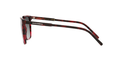 Dolce&Gabbana DG4424 Red Havana/Grey Gradient #colour_red-havana-grey-gradient