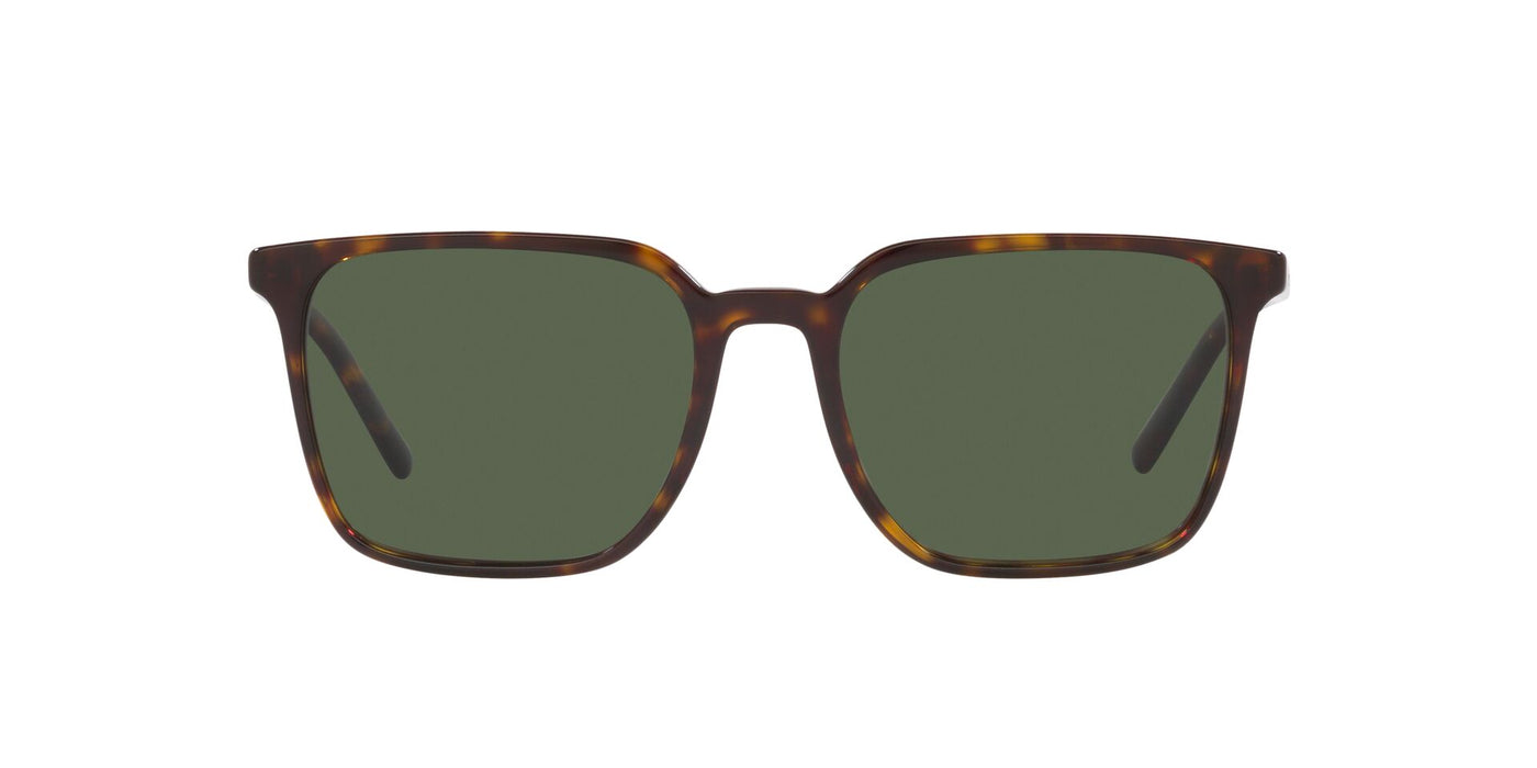 Dolce&Gabbana DG4424 Havana/Dark Green Polarised #colour_havana-dark-green-polarised