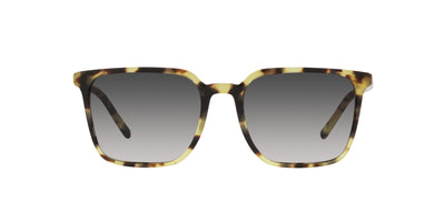 Dolce&Gabbana DG4424 Yellow Havana/Grey Gradient #colour_yellow-havana-grey-gradient