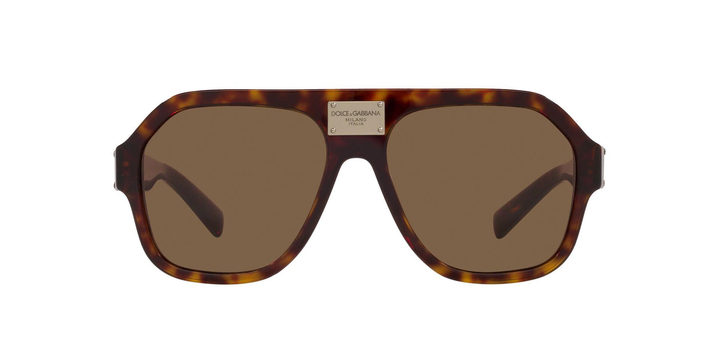 Dolce&Gabbana DG4433 Havana/Dark Brown #colour_havana-dark-brown