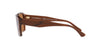 Emporio Armani EA4186 Shiny Transparent Brown/Brown #colour_shiny-transparent-brown-brown