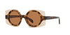 Emporio Armani EA4207 Havana Top Transparent Brown/Brown #colour_havana-top-transparent-brown-brown