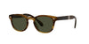 Oliver Peoples Sheldrake 1950 OV5471SU Bark/G-15 #colour_bark-g-15